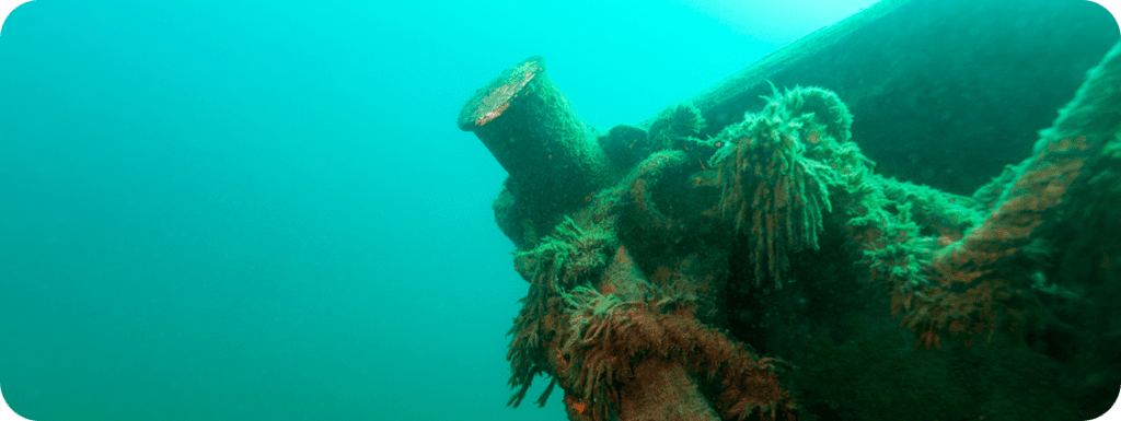 A Shipwreck in Door County