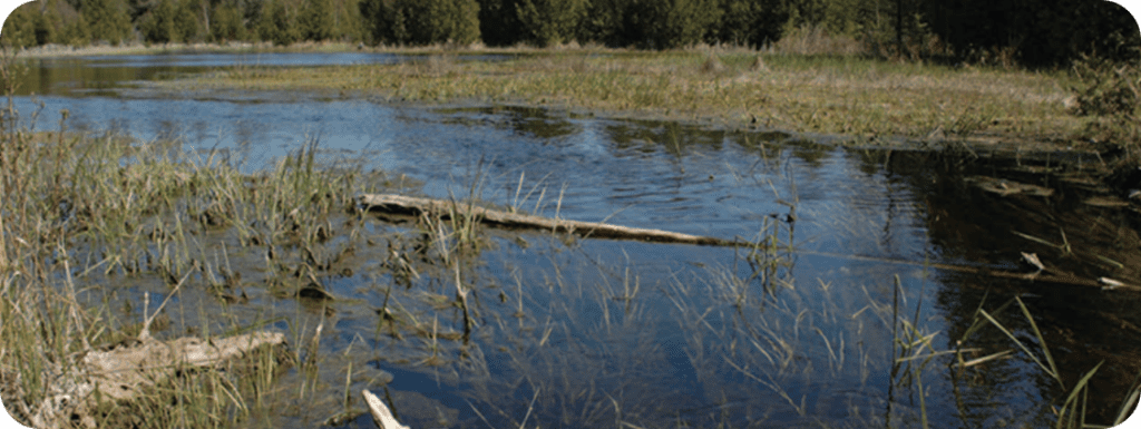 The Newest Door County Land Trust property, Three Springs Nature Preserve